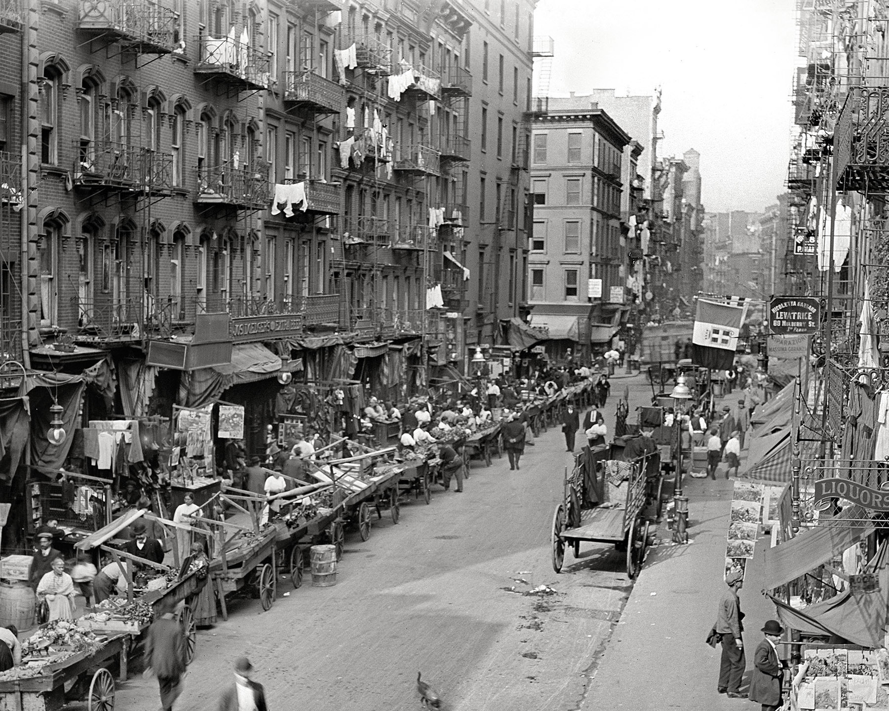 New York Public Library