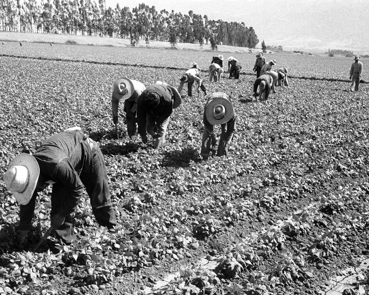 Leonard Nadel/Archives Center, National Museum of American History