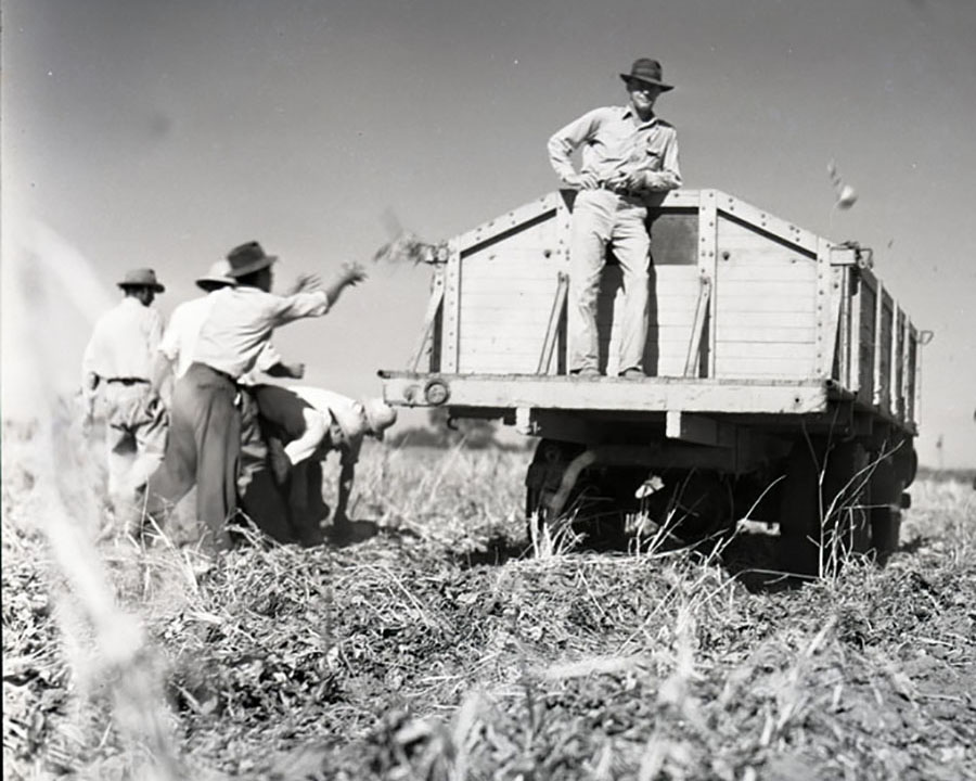 Hal Higgins/Digital Public Library of America