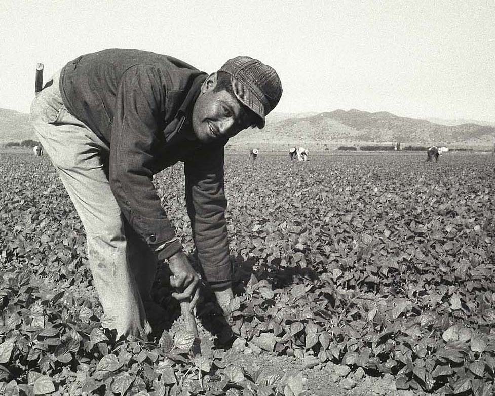 Leonard Nadel/Archives Center, National Museum of American History