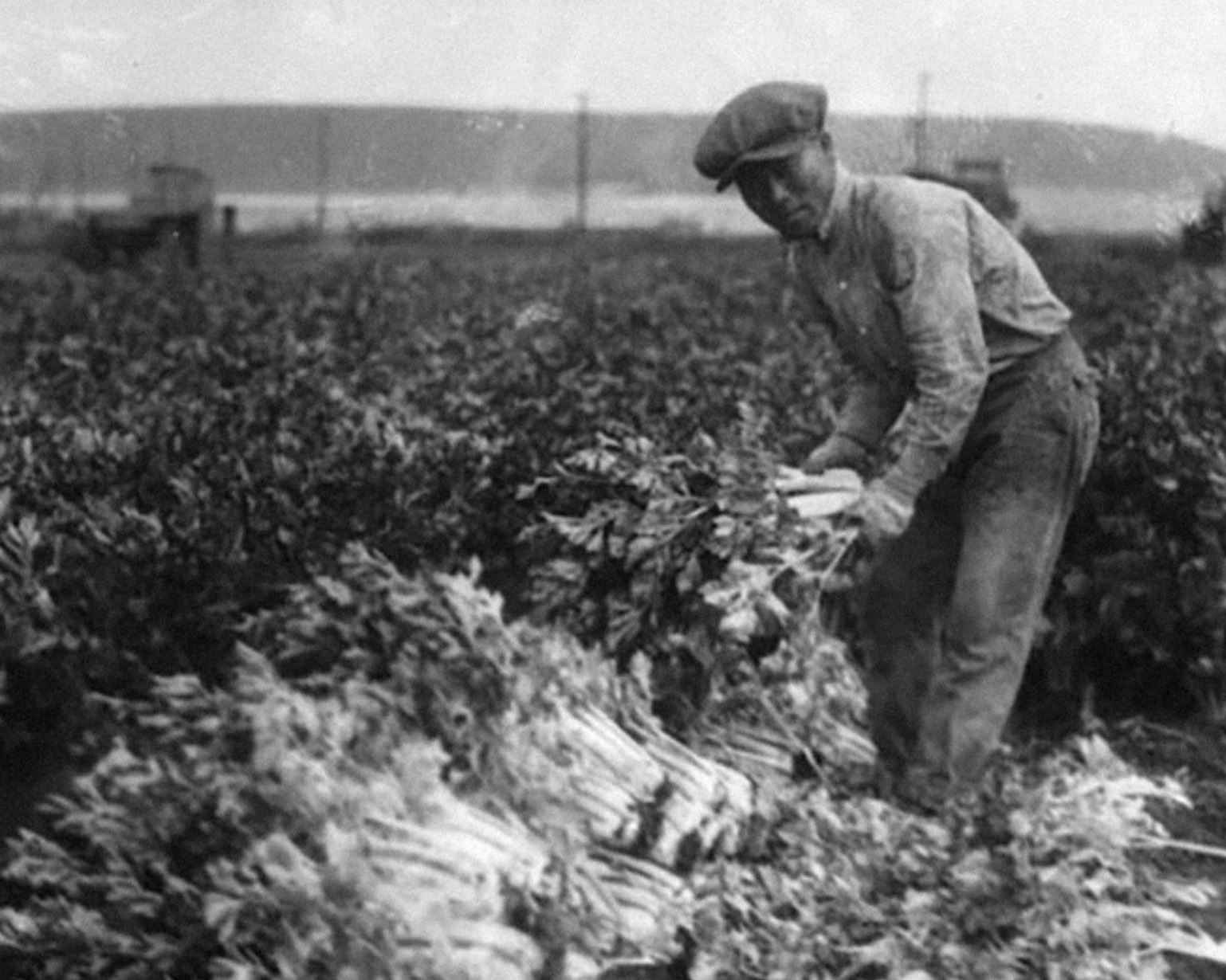 Los Angeles Public Library